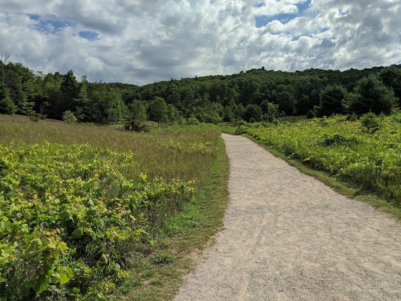 The Overlook: A Panorama That Earns Its Reputation