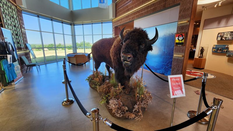 Black Kettle's Legacy: Understanding the Man Behind the History