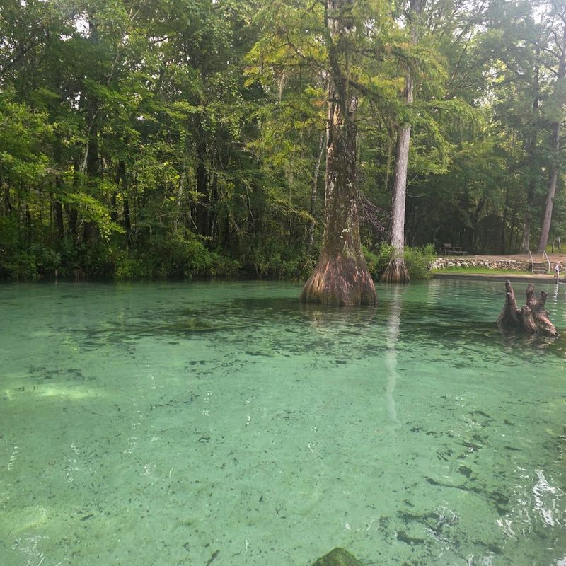 Crystal Clarity That Makes You Stop and Stare