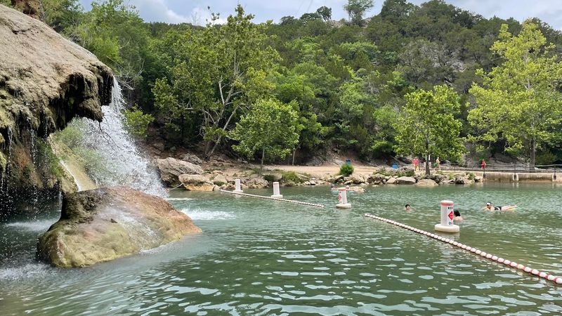 Spring Wildflowers Along the Trails