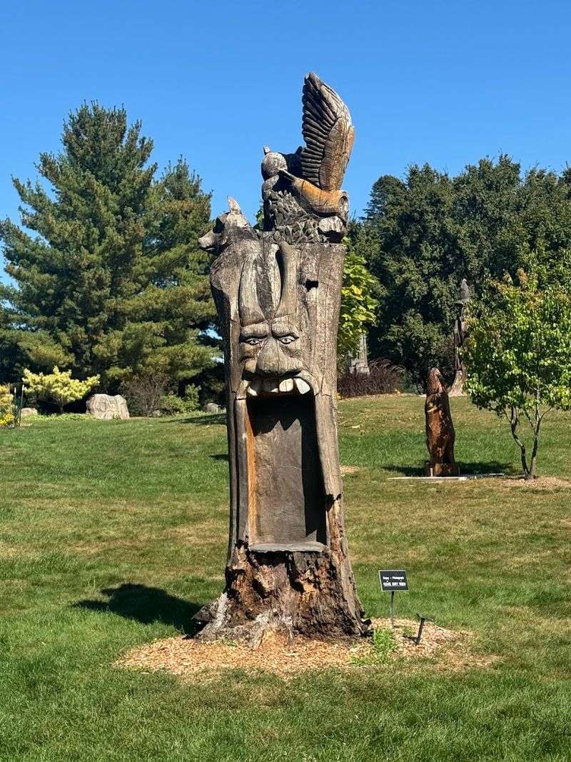 The Scale and Layout of the Meadow