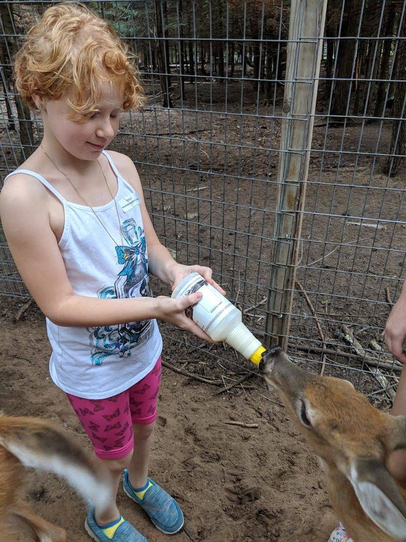 Why It Feels Different From Bigger Zoos