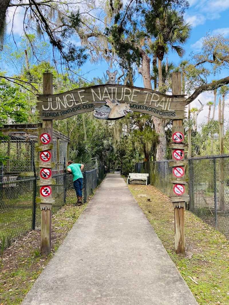 The Story Behind the Park: Old Florida Authenticity