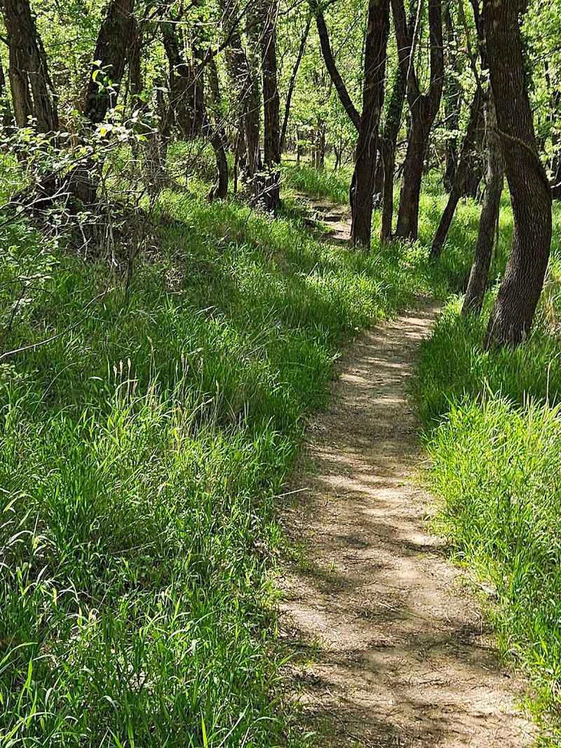 800 Acres That Feel Like a Different World