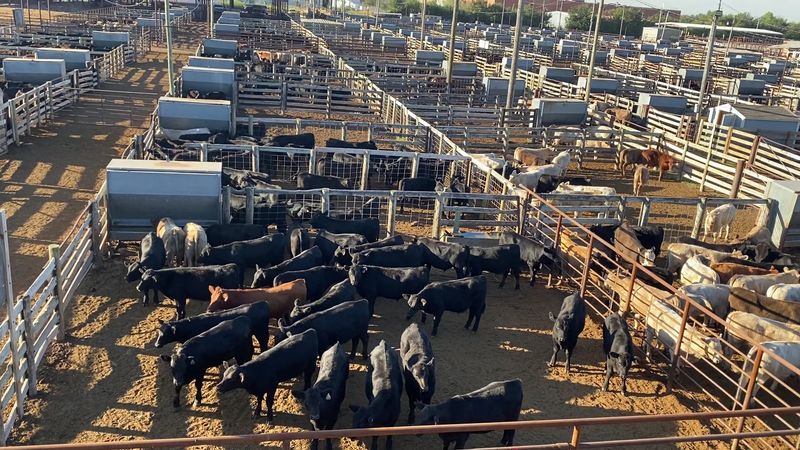 A Record-Breaking History That Spans Over a Century