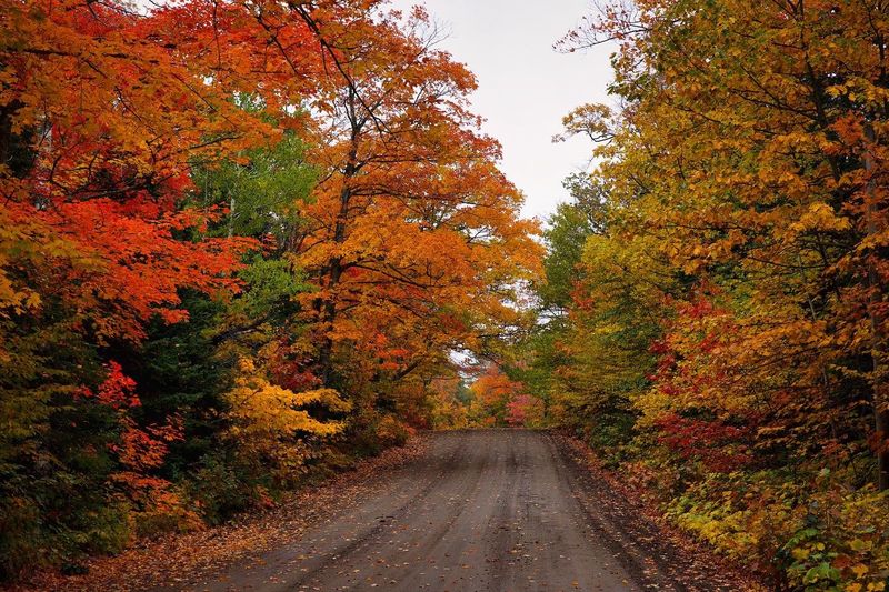 Why the Road Up Is Half the Adventure