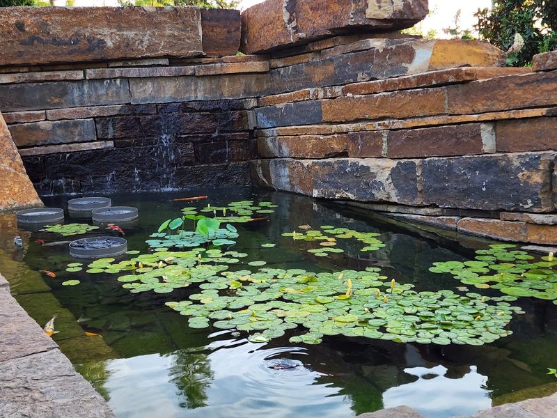 The Sensory Garden: A Quiet Corner Worth Seeking Out