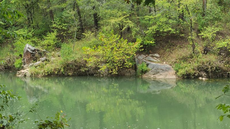 Wildlife Watching Around Every Corner