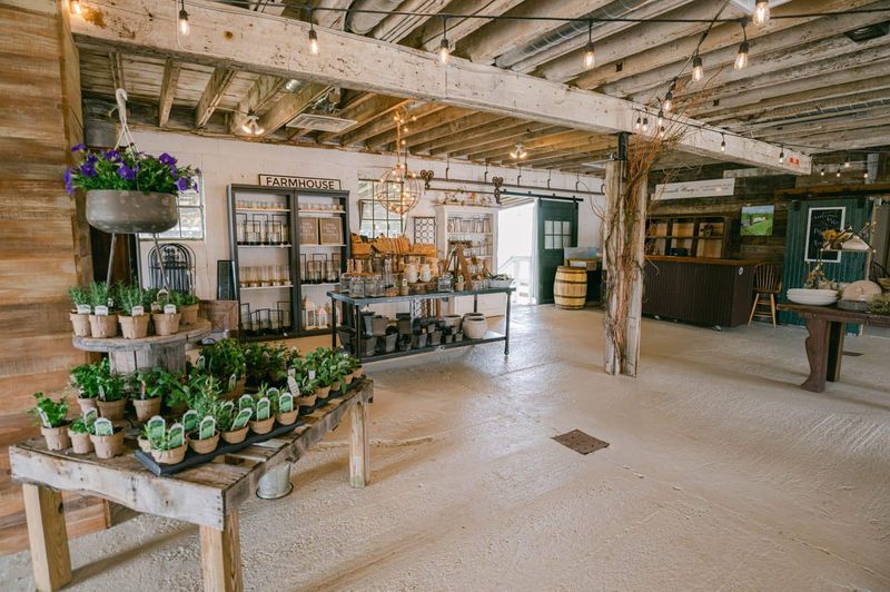 The Market Hall: More Than Just Produce