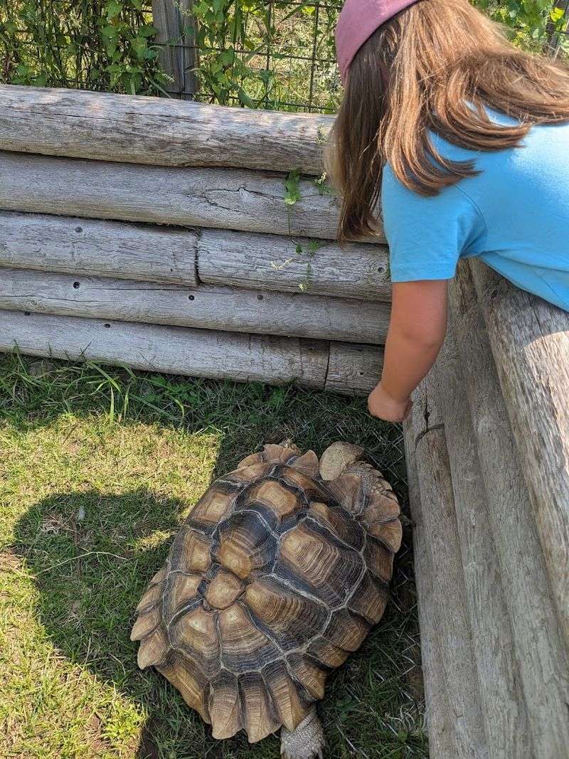 Why the Specialty Encounters Get So Much Attention