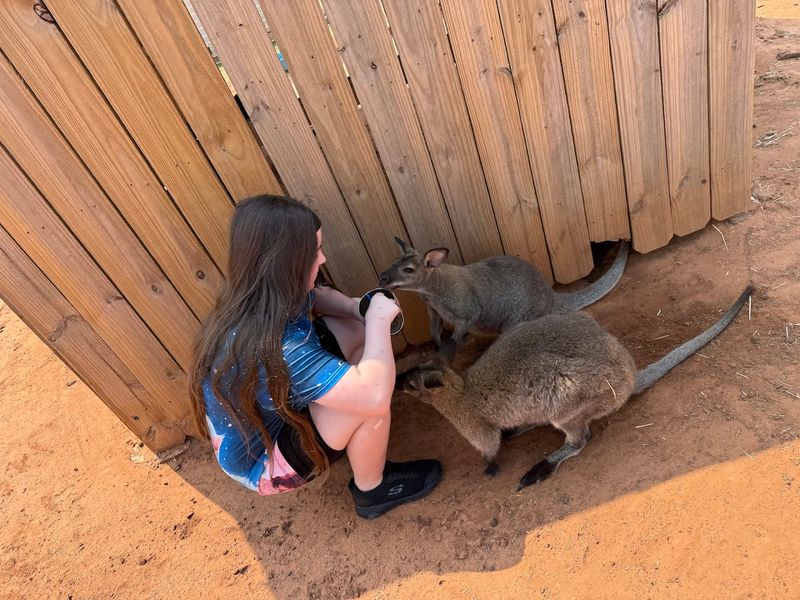 The Two-Hour Tour Experience