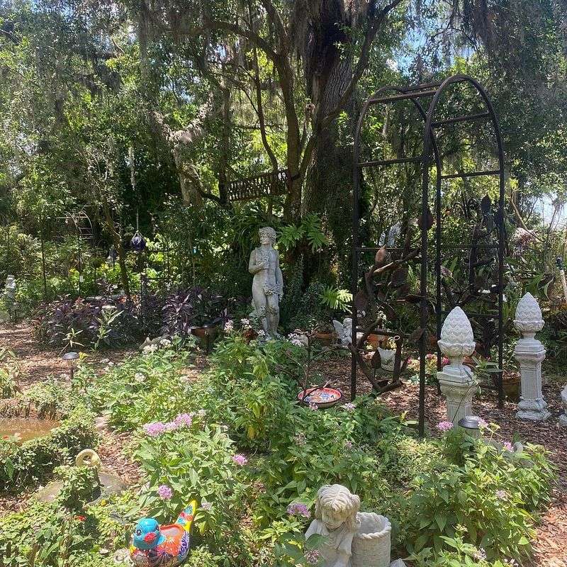 The Petting Zoo in the Back