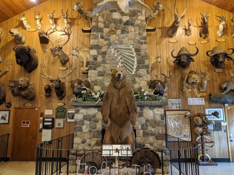 The Museum Side of Things Is a Whole Other World