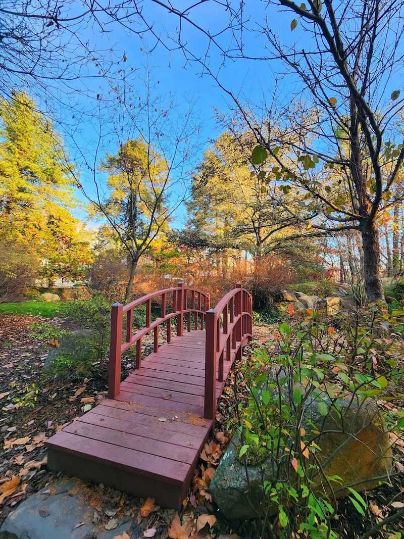 Fall and Winter Have Their Own Appeal