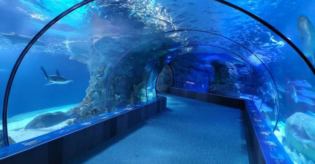 The Aquarium Inside This Nebraska Zoo Is Worth the Visit All by Itself