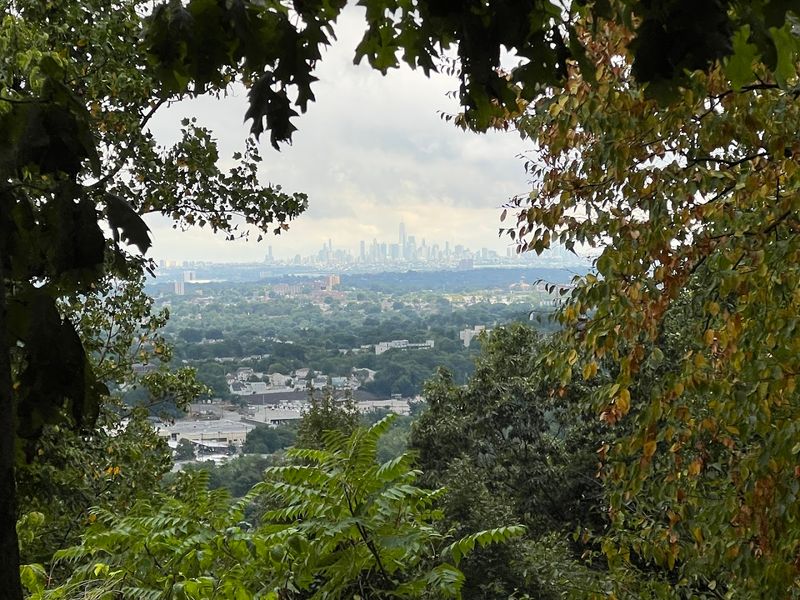 Views That Make the Trip Worth It Alone