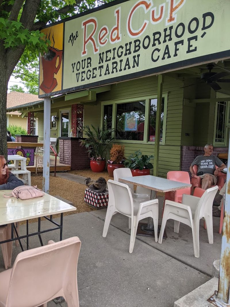 The Patio Experience and Coco the Rooster