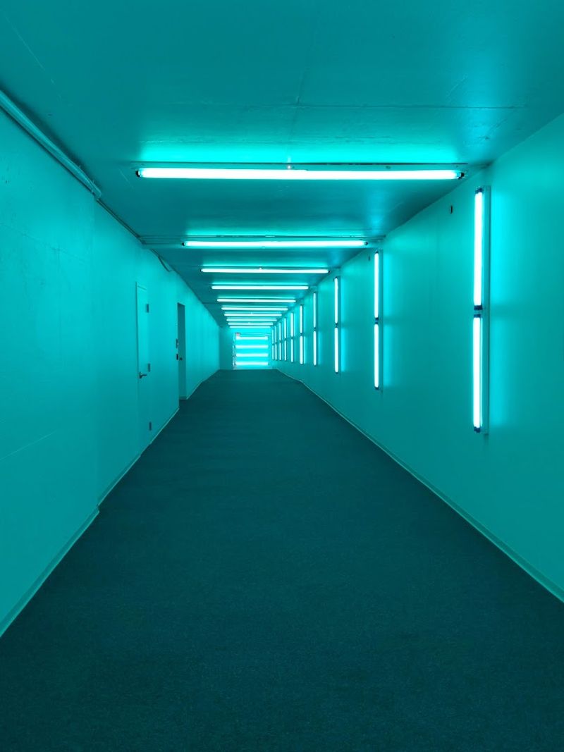 Navigating the Tunnel System