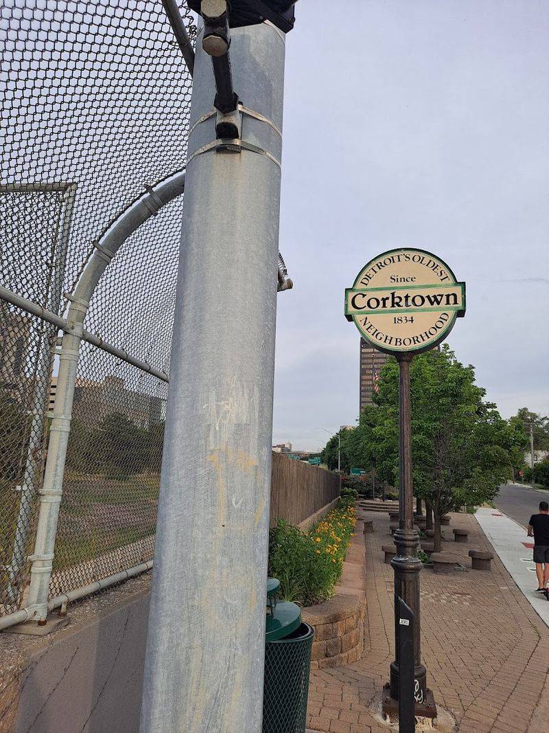 Corktown's Oldest Neighborhood Energy