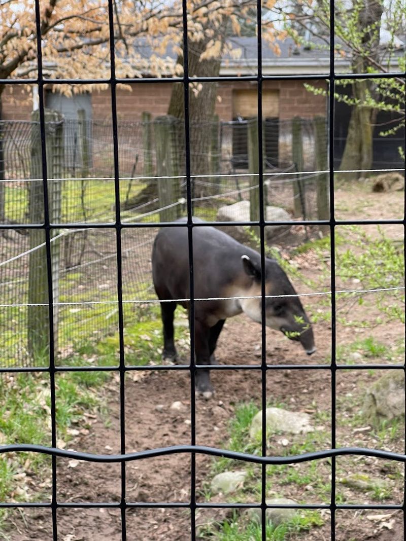 How It Stacks Up Against Bigger Regional Zoos