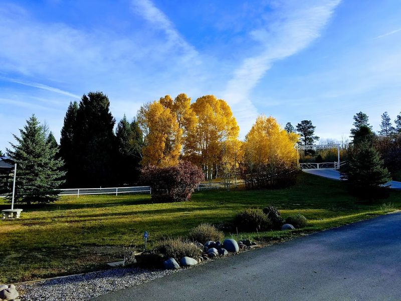 Fall Foliage That Stops You in Your Tracks