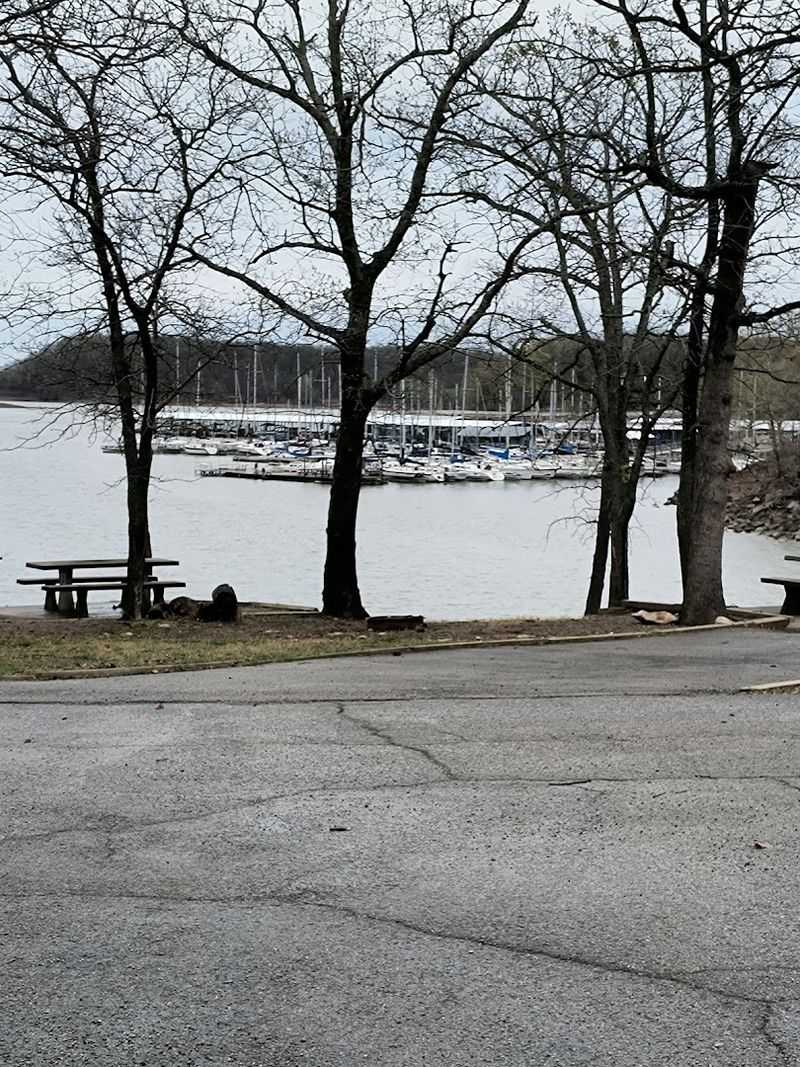 Bringing Kids and Dogs to Redbud Bay