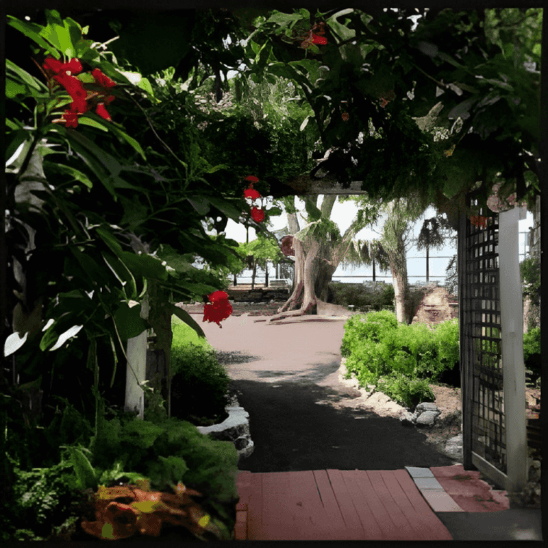 A Great Spot for Photography