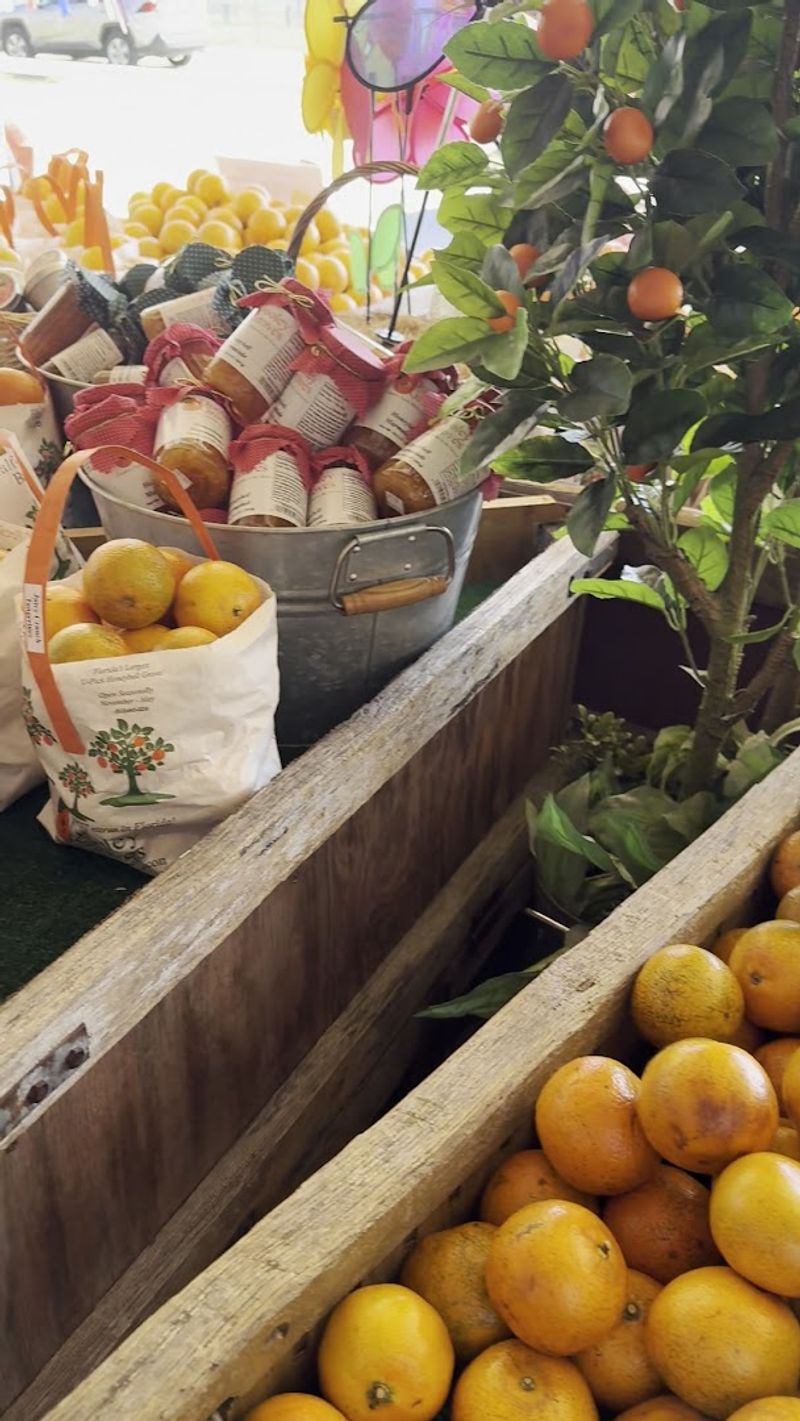 Best Time of Year to Plan Your Visit