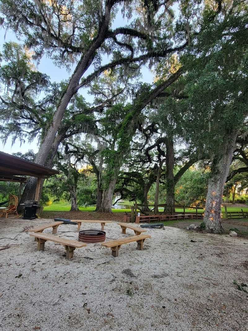 How to Make the Most of Your Visit