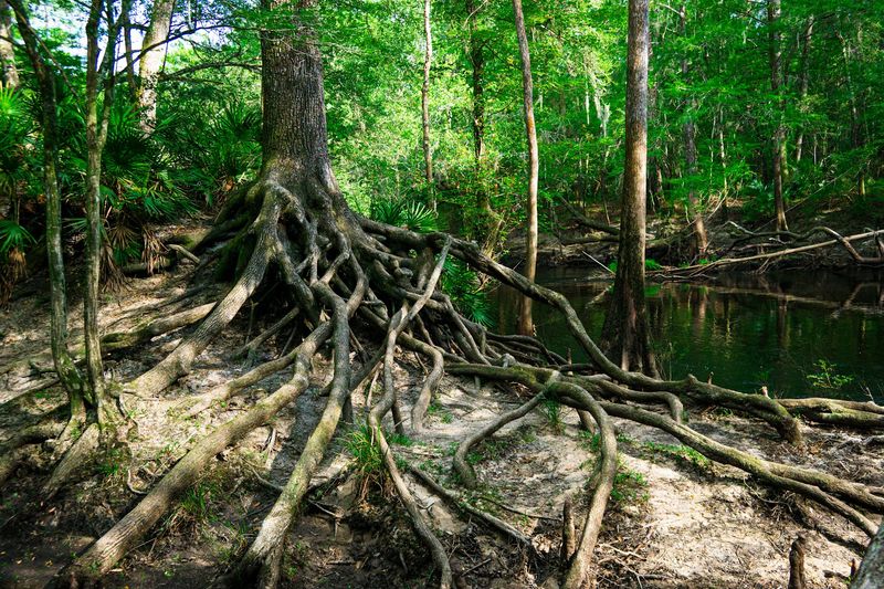 Rock Formations and Natural Curiosities Along the Way