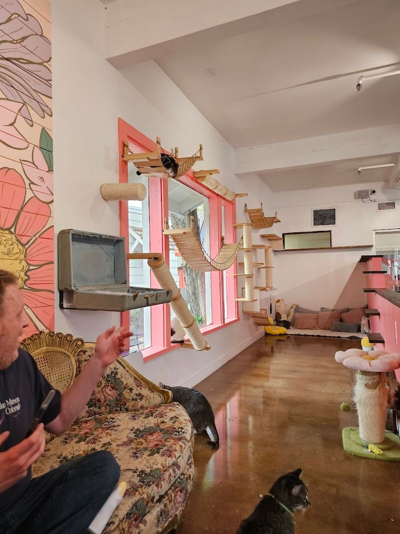 Practical Tips Before You Plan Your Visit