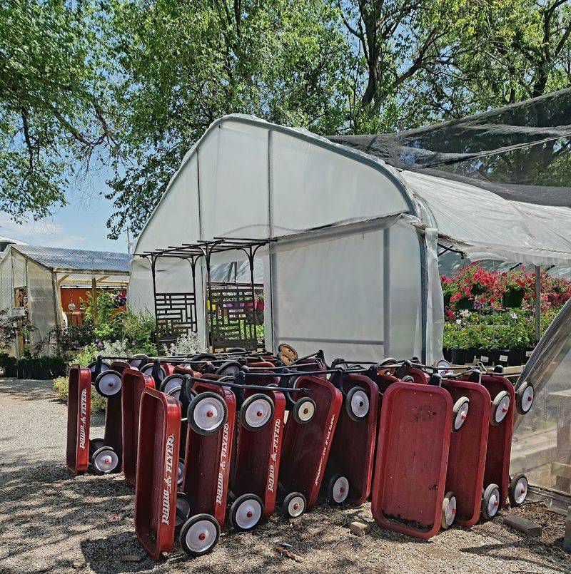 Practical Tips for First-Time Visitors