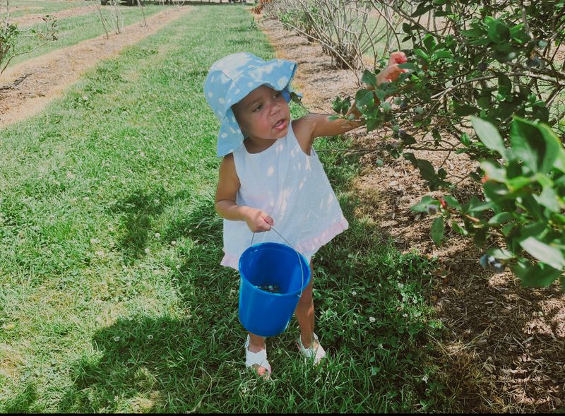 Bringing Kids Along for the Experience