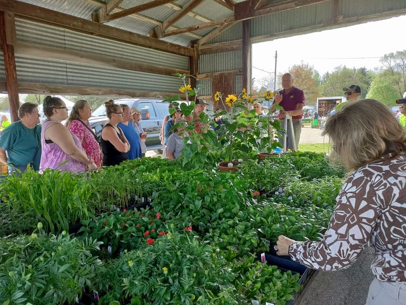 Fresh Produce That Steals the Show