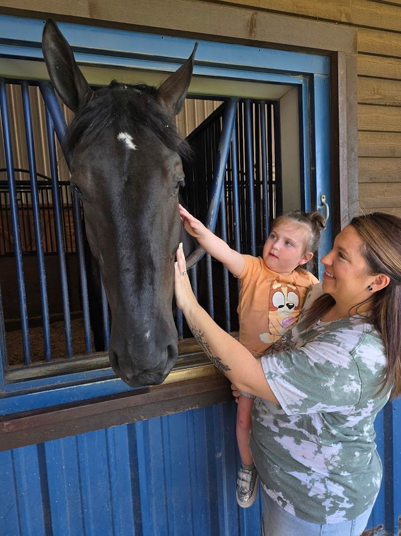 A Perfect Outing for Young Kids