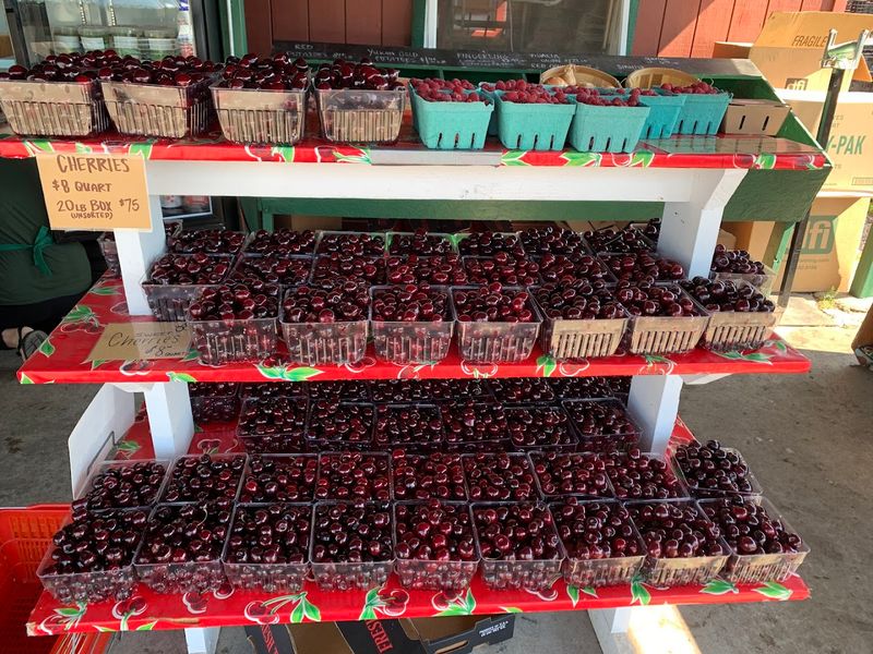 Why Cherries Matter So Much Here