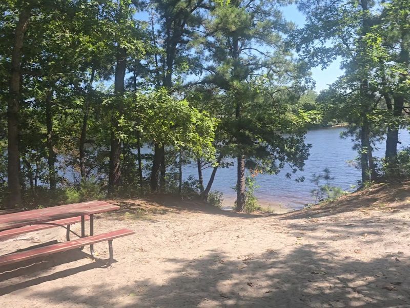 Picnic Facilities and Free BBQ Stations