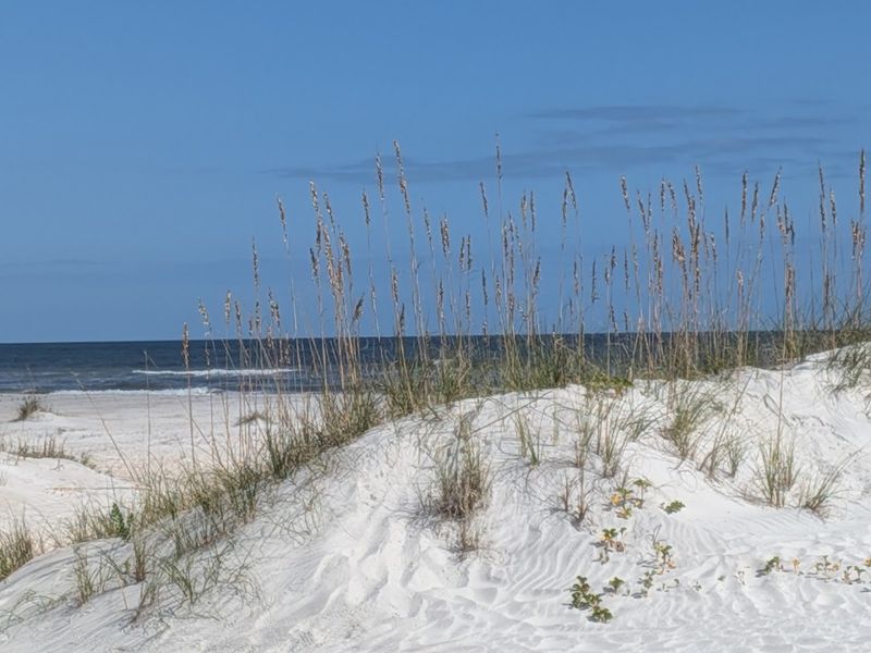 The Sand Dunes: A Natural Feature Worth Celebrating
