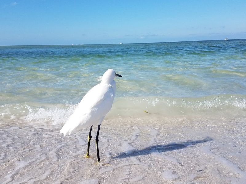 Wildlife That Will Genuinely Surprise You