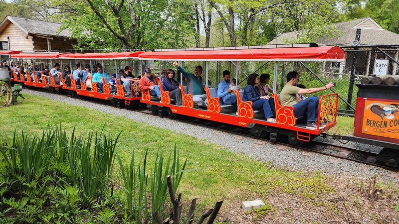 All Aboard: The Narrow-Gauge Railroad Experience