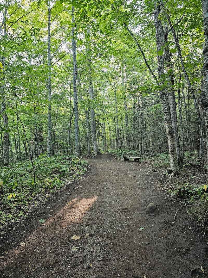 How Busy the Parking Lot Gets