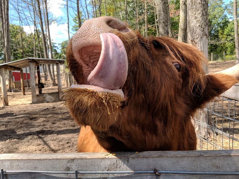 Shows and Encounters That Keep You Scrolling Forward