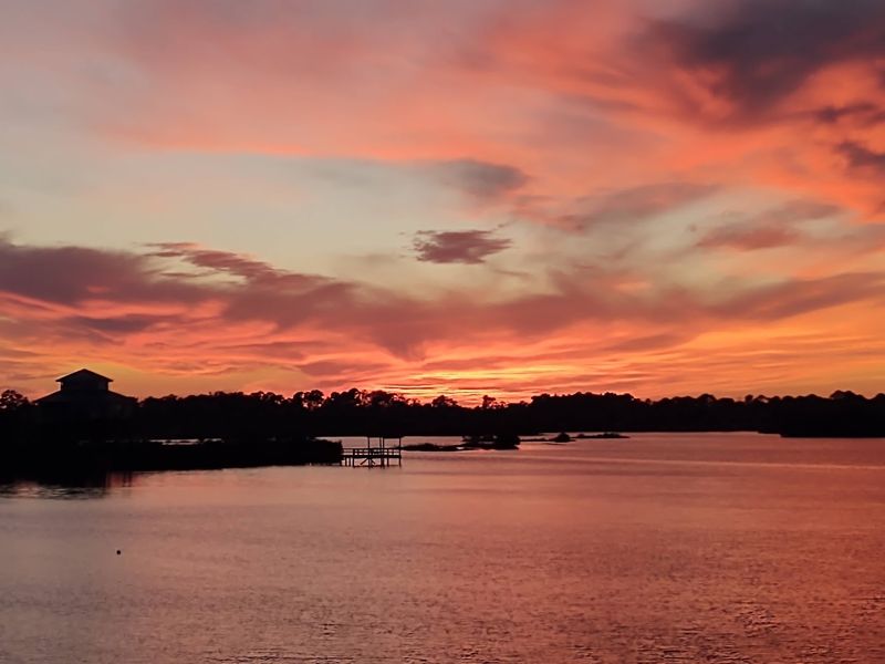 What to Cook When You Get Home