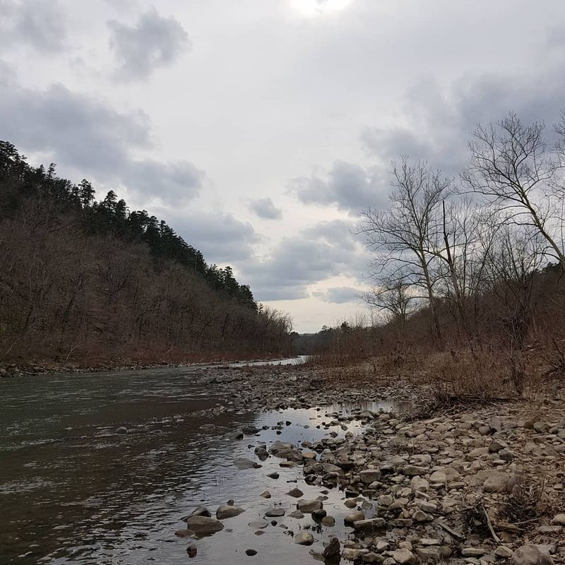 Trout Stocking and Fishing Regulations