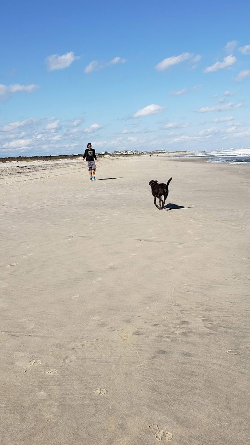 Dogs, Families, and Who the Park Works Best For