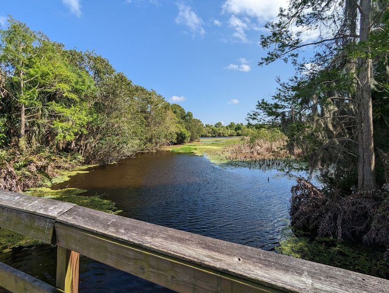 The Tram Tour: A Guided Ride Through the Preserve