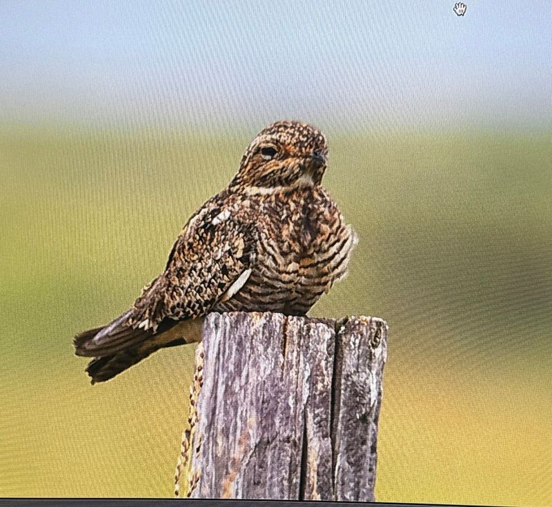 What the Landscape Actually Looks and Feels Like