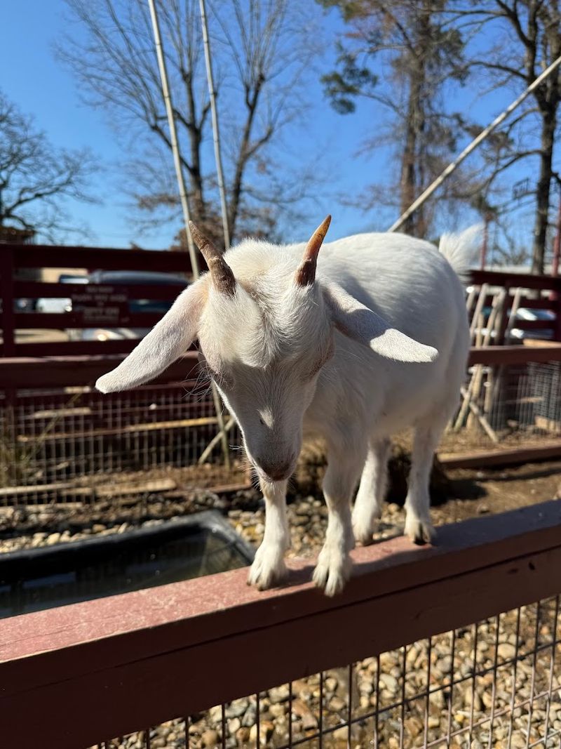 What the Baby Barn Is All About