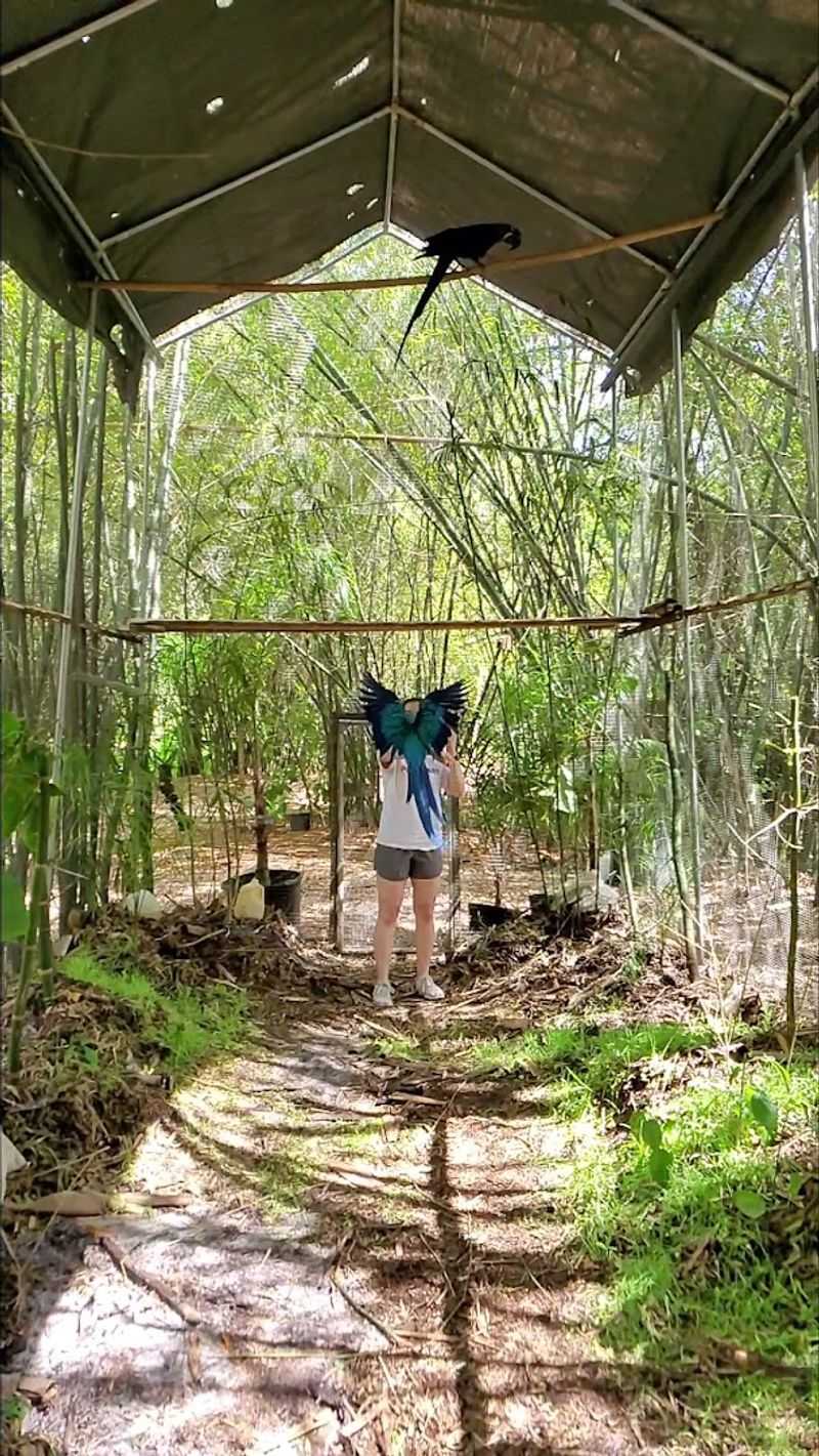 Appointment-Only Access and Why That Matters