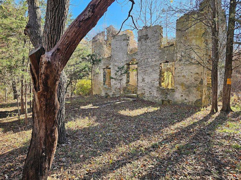 Ancient Ruins Hidden in the Forest